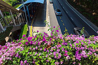 偶像养成模拟游戏《偶像经理人》主机版 今日正式发售